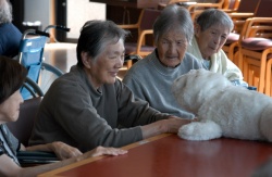 caption: PARO being used in a nursing home[4]